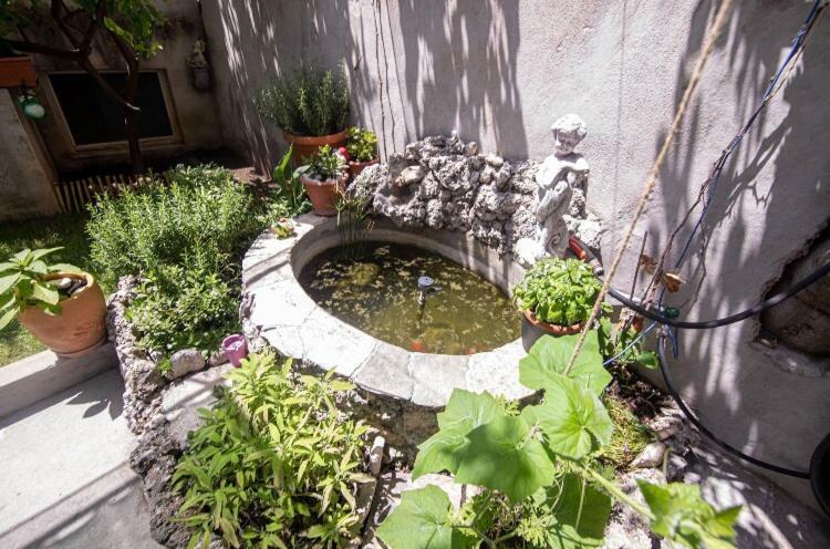 Apartmani Marko Makarska Luaran gambar